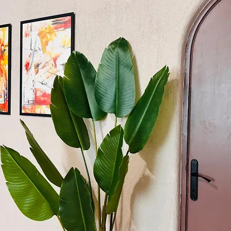 Ideal Home - Spacious & Modern Accommodation Near Unirii Square 布加勒斯特 Room photo